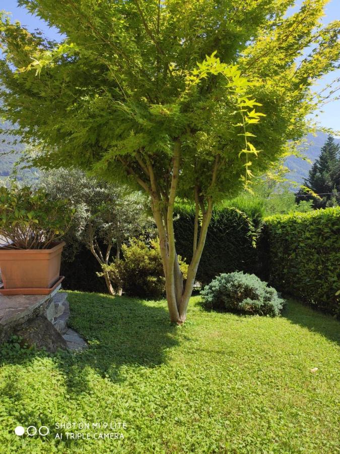 Casa Vacanza Il Glicine Casale Corte Cerro Экстерьер фото